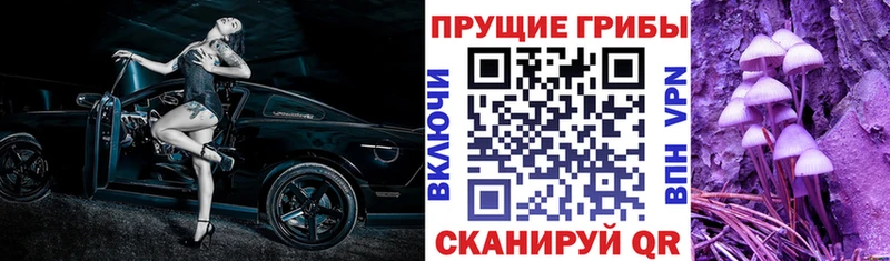 Галлюциногенные грибы прущие грибы  купить   мега зеркало  Дно 